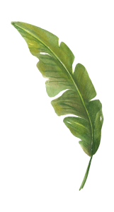 vihersuunnitelmat ja viherkasvien huolto